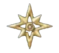 premium icon